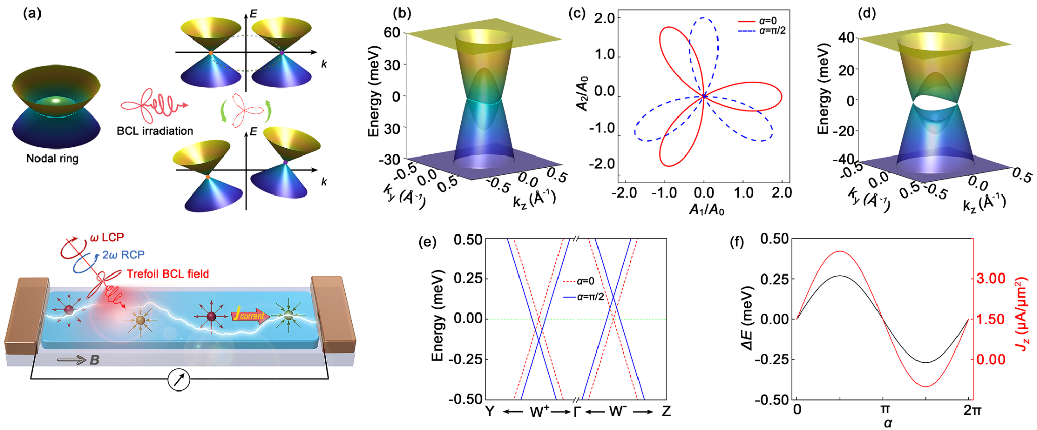图1.双圆偏振光驱动的回转磁电流概念图与模型结果