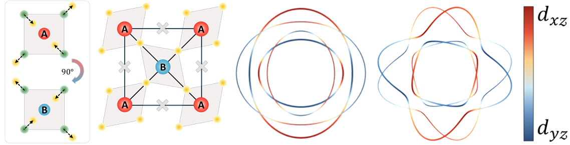 图2：自旋-轨道交替磁体晶格示意图，及其动量空间波、波自旋-轨道纹理.